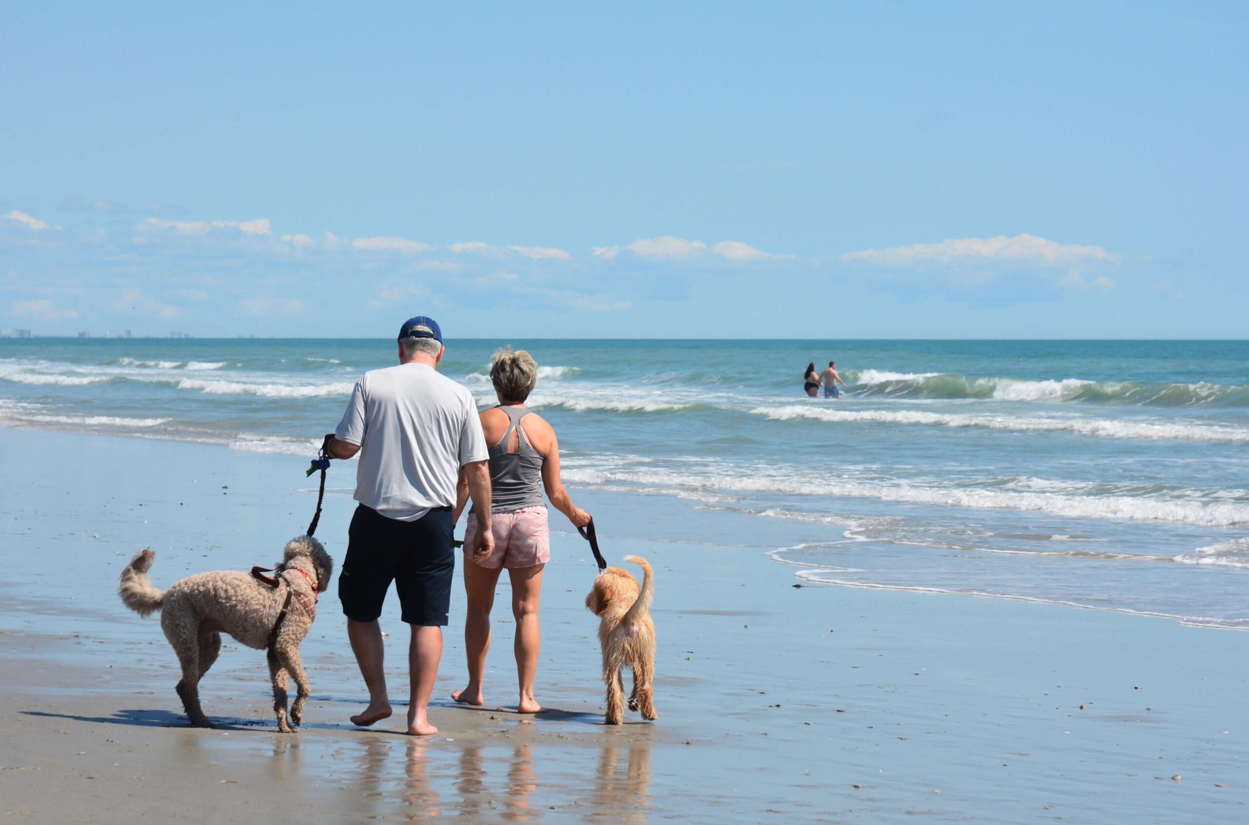 People walking down the beach with pets near Dauphin Island pet-friendly rentals